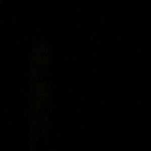 Meet your Posher, Evelyn